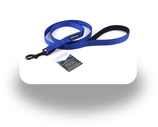Blue nylon LaunchLead dog lead in a loop, with a silver clip and a blue tennis ball in the cradle